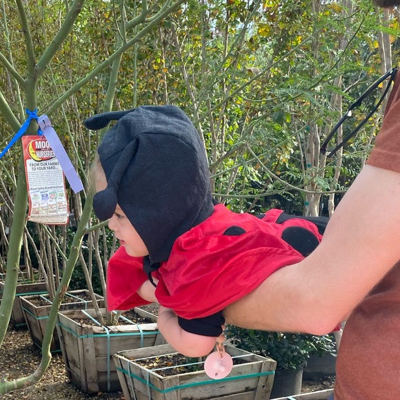 Costume Ladybug cape and handmade boutique linen cotton antenna bonnet 12-18 EUC - Picture 11 of 11
